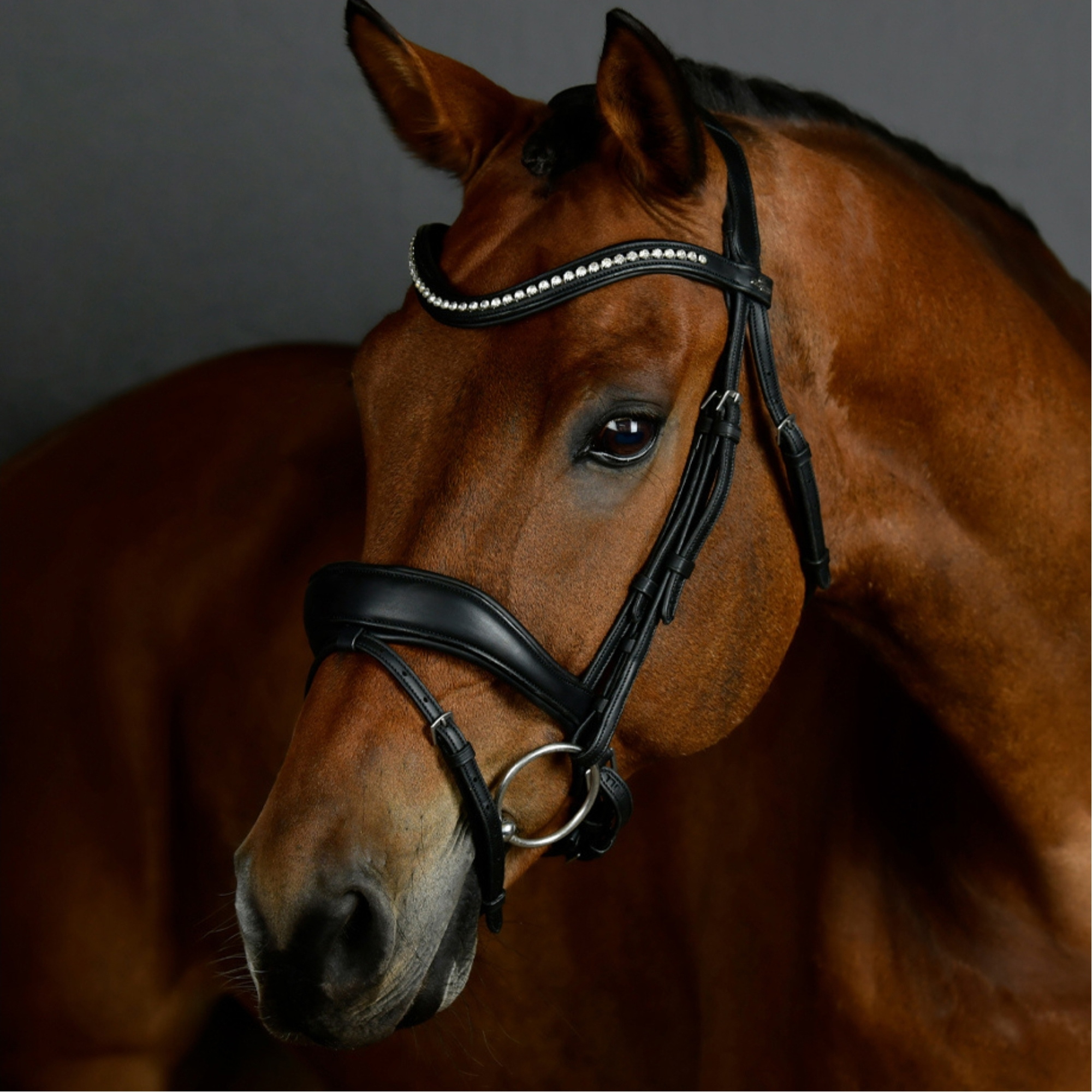 Collegiate Comfitec Opulux Padded Dressage Bridle 102519200 - Black
